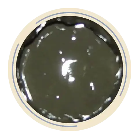 Natural Dead Sea mud
